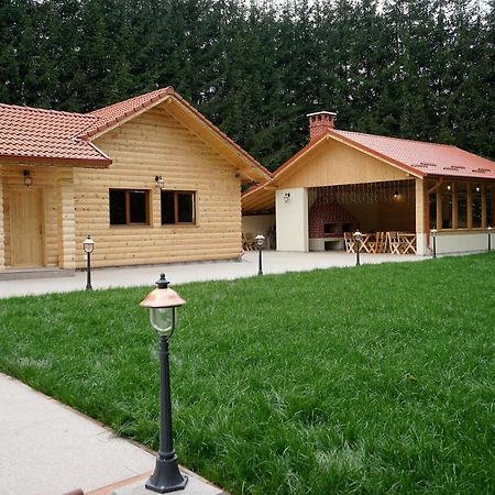 Pensiunea Floarea De Colt Nucşoara Exteriör bild